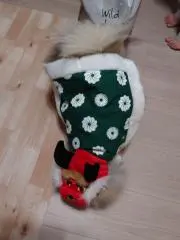 いのちゃん