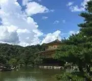 MGの画像