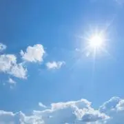 ワン子の画像