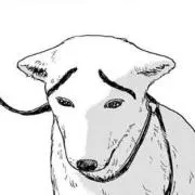キュウンの画像