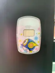 【のんびりリスタート】たぬきのおなかの画像