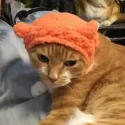 とらくろの画像