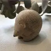 hedgehog
