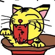 tora 【即購入可、プロフ一読】の画像