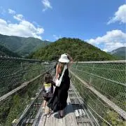 556の画像