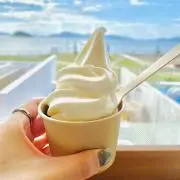 しえるの画像
