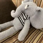 ぽんずの画像