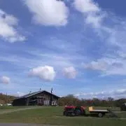 Zechiの画像