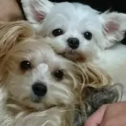 れいちゃん