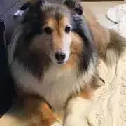 jarminemamaの画像