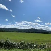 ステイの画像
