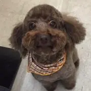 モナカ