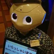 つっきーの画像