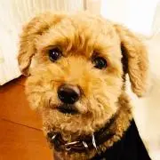 あったんの画像