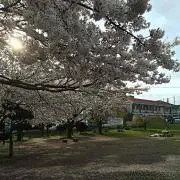 Aki