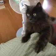むっちの画像