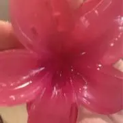 ❤︎の画像