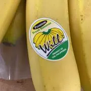 とっちん