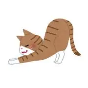 てるCDコレクション整理中の画像