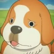 ぽんすけの画像