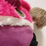 あにまる