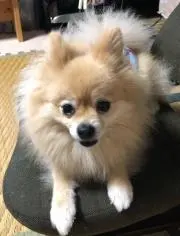 tamikaの画像