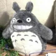Riki