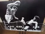 馬鹿になれ恥をかけの画像