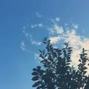 なお