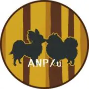 ANP.u｜セレクトの画像