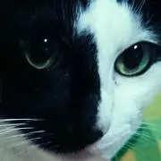 旦那様