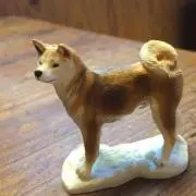 さんご☆
