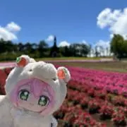 mini◊*゜の画像