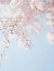 miu断捨離中の画像