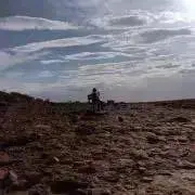 3104の画像