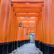 aiko＊断捨離リスタートの画像