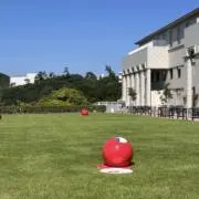 るるの画像