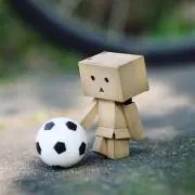 ふに