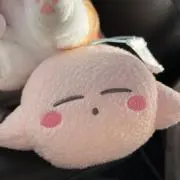 ぷぅの画像