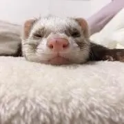 あめ
