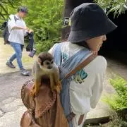 即購入OK！の画像