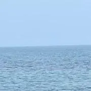 Dai