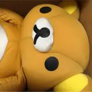 海苔巻き赤さんの画像