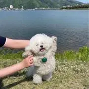 7110の画像