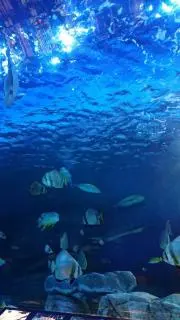 たっちゃん