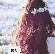 HIMAWARIの画像