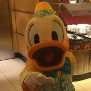 どなるどの画像