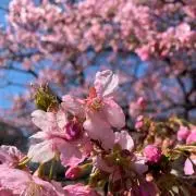 Tukinaoの画像
