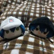 黒羽の画像
