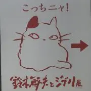 ぽむの画像